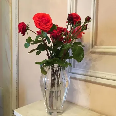 La Corte Di Carlotta Holiday home Mozzo
